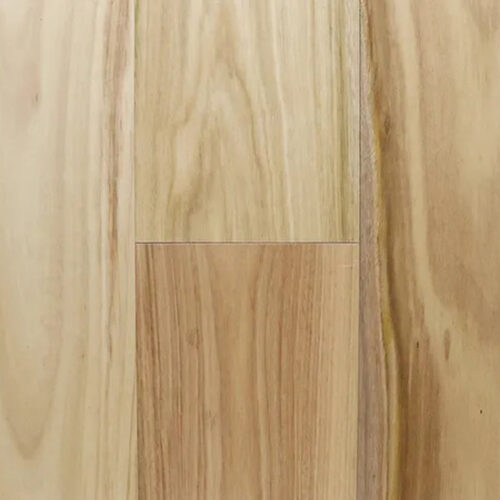 Australian-Blackbutt1