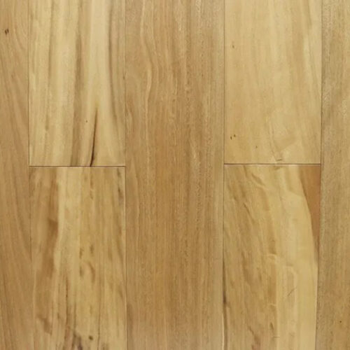 Australian-Tallowwood1